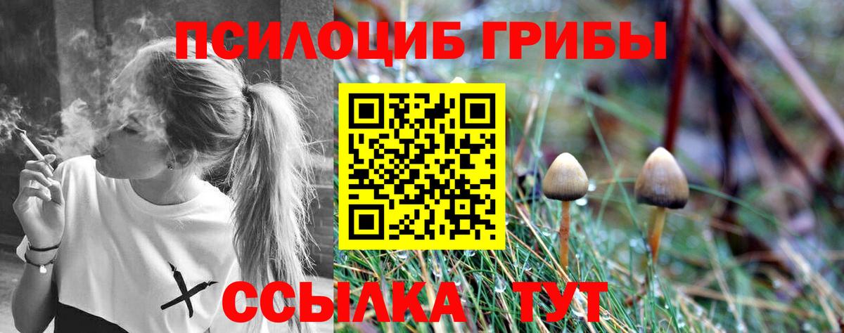 Галлюциногенные грибы Cubensis  Галлюциногенные грибы Psilocybine cubensis  Вход с VPN  Сердобск 